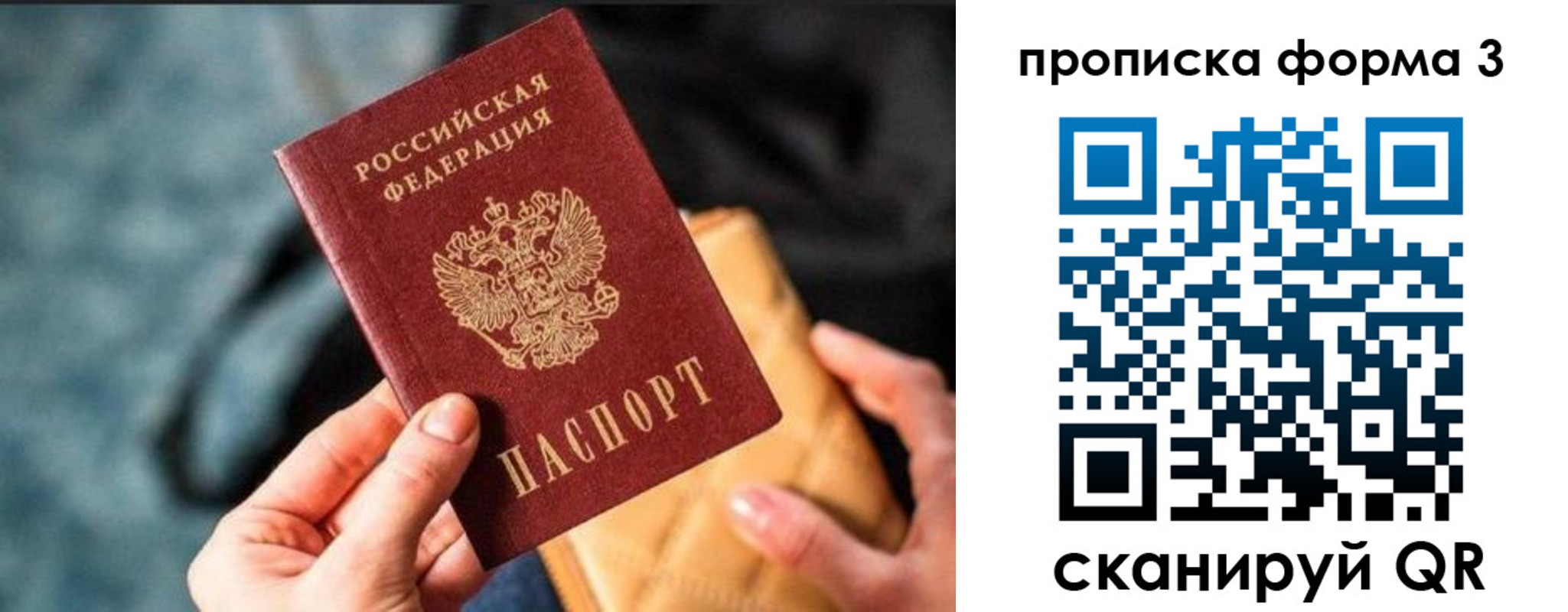 прописка гарантия в Зеленоградске